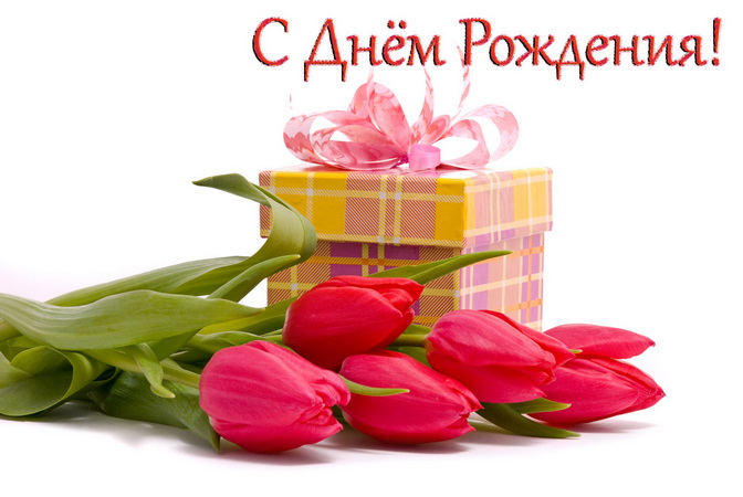 prikol-5 новый размер